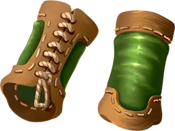 Library image for Lacing Boots