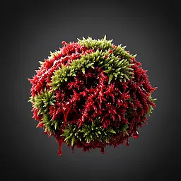 Red Moss