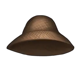 Library image for Wide-brimmed brown hat