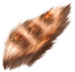 Library image for Rat Pelt