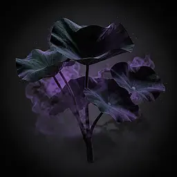 Umbral Lotus Leaf
