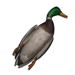 Library image for Feral Goose corpse