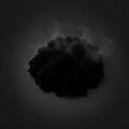 Black Moss