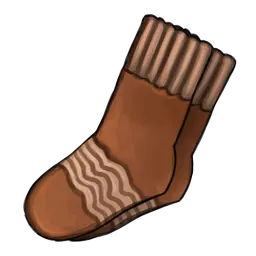 Library image for Socks